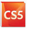 Adobe CS5 New Features training at TCCIT Solutions New York City