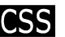 CSS-Cascading Style Sheets training at TCCIT Solutions New York City